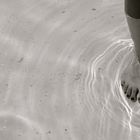 Les pieds dans l'eau.