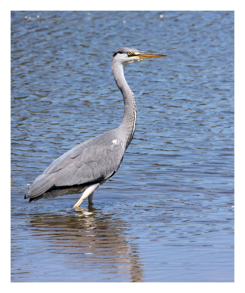 Les pieds dans l'eau