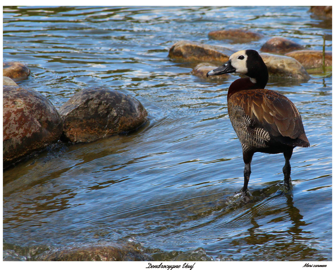 les pieds ...dans l'eau!