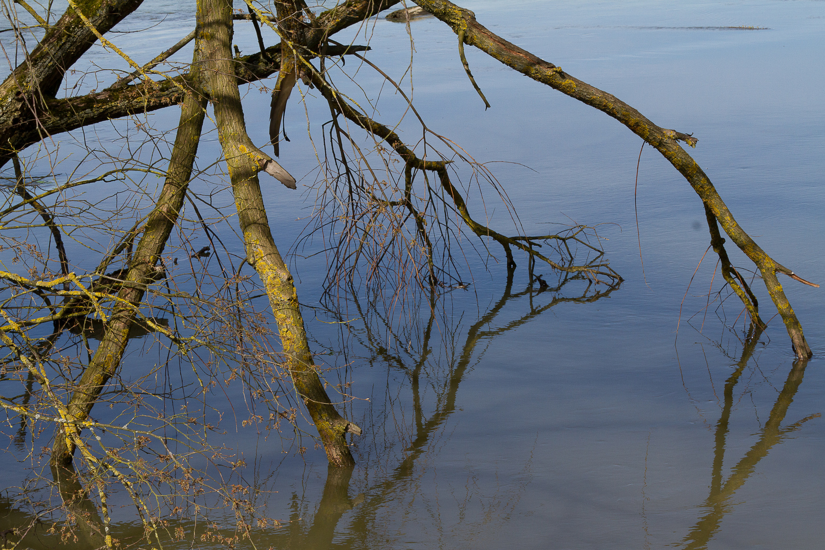 Les pieds dans l'eau