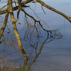 Les pieds dans l'eau