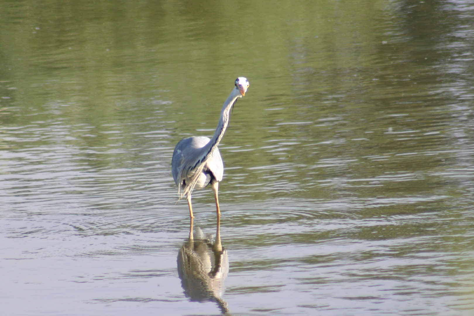 Les pieds dans l'eau