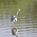 Les pieds dans l'eau