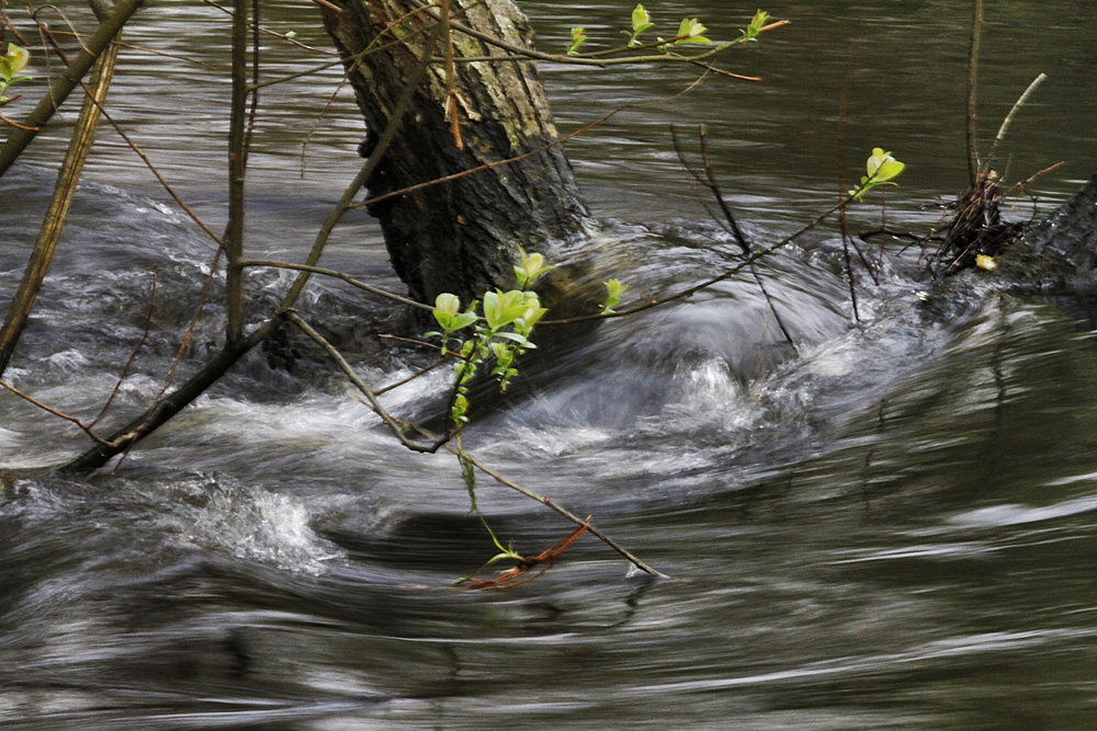 les pieds dans l'eau ! photo et image paysages, lacs, rivières, cascades, divers Images