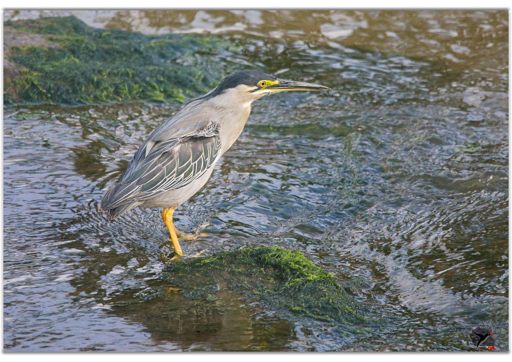 Les pieds dans l'eau!