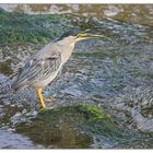 Les pieds dans l'eau!