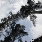 Les pieds sur terre, la tête dans les nuages