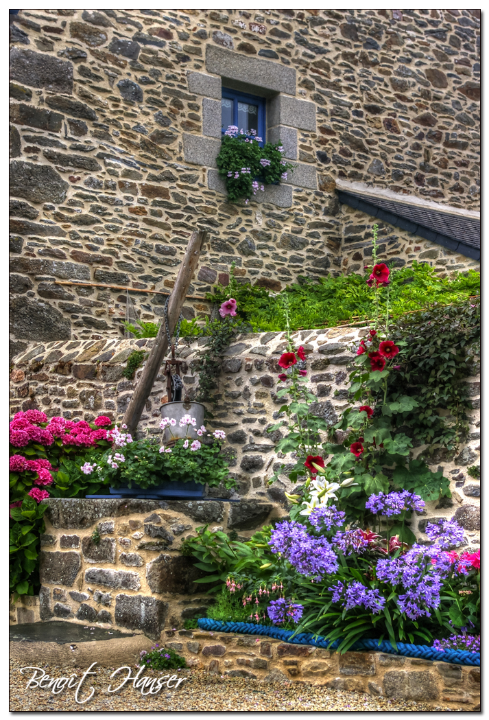 Les pierres de Saint Suliac en fleurs