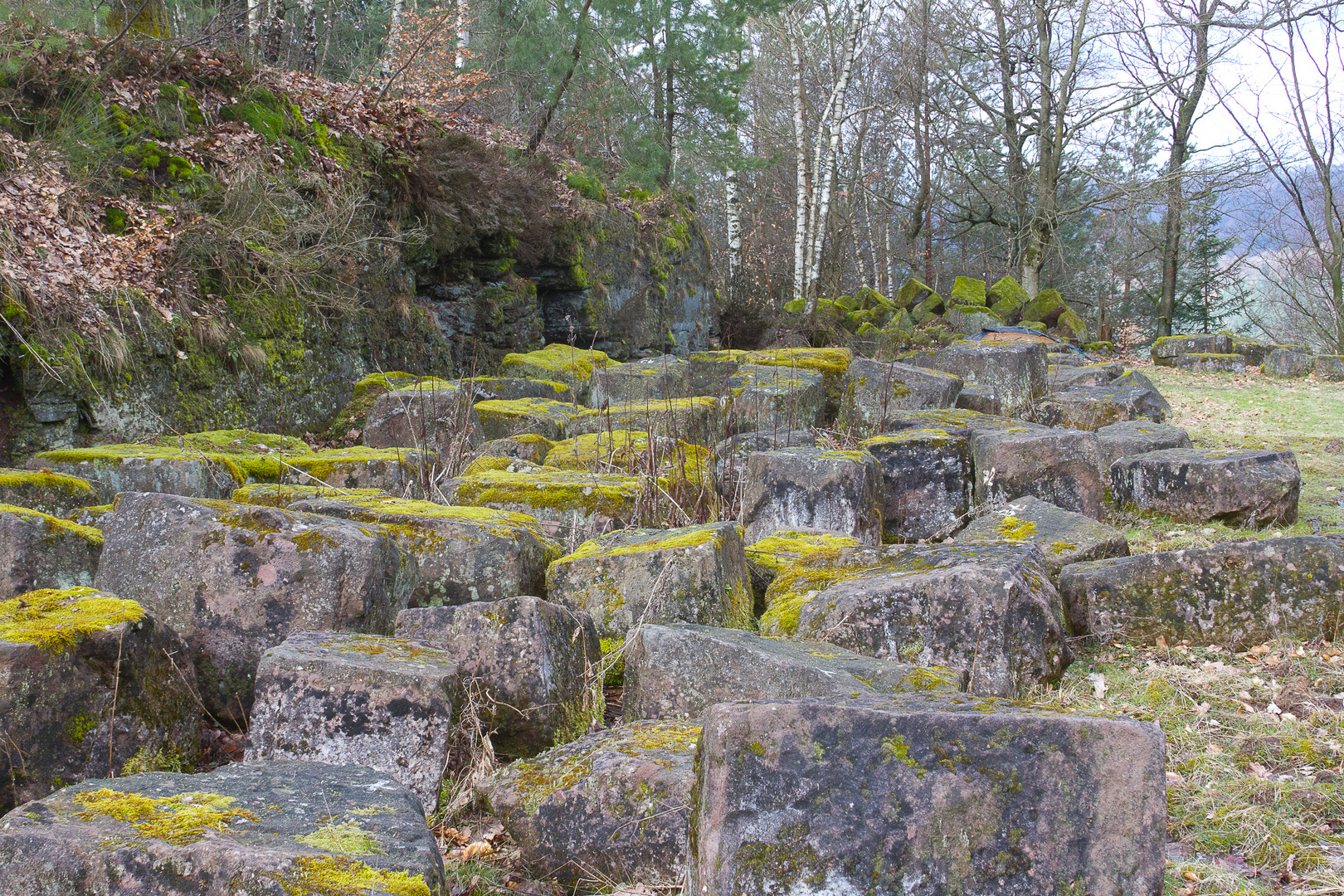 Les pierres du château