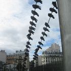 Les pigeons