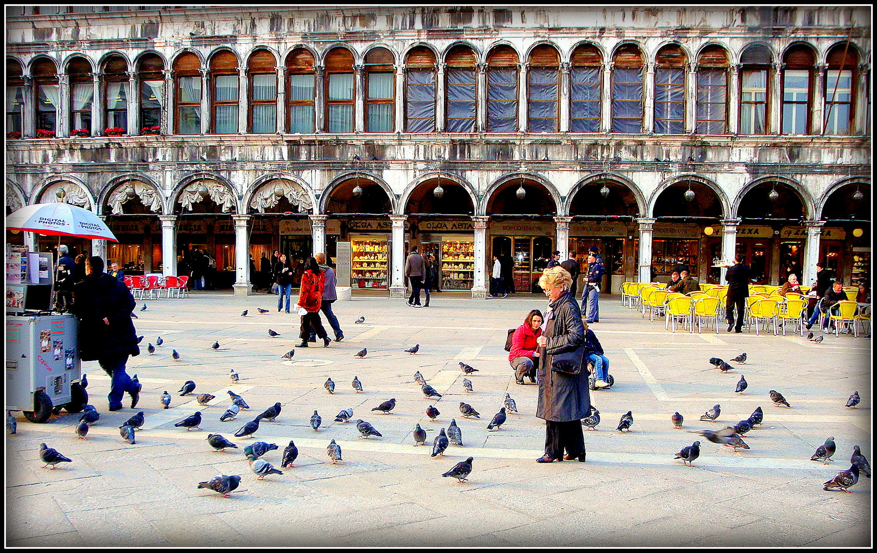 Les pigeons de Venise 