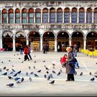 Les pigeons de Venise 