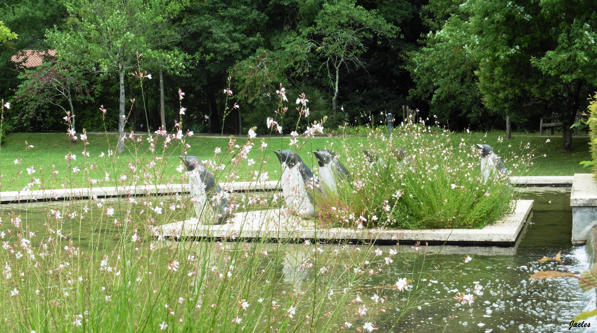 Les pingouins du jardin d'Eugénie