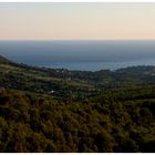 Les pins, les cigales et la mer