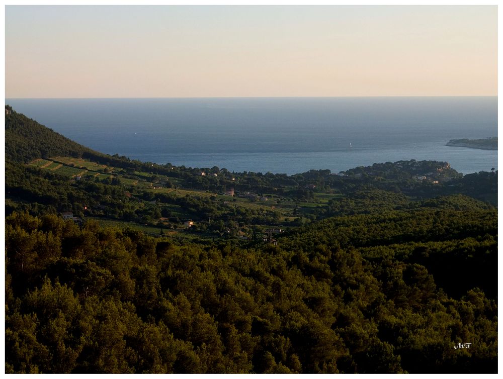 Les pins, les cigales et la mer