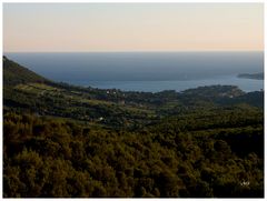 Les pins, les cigales et la mer