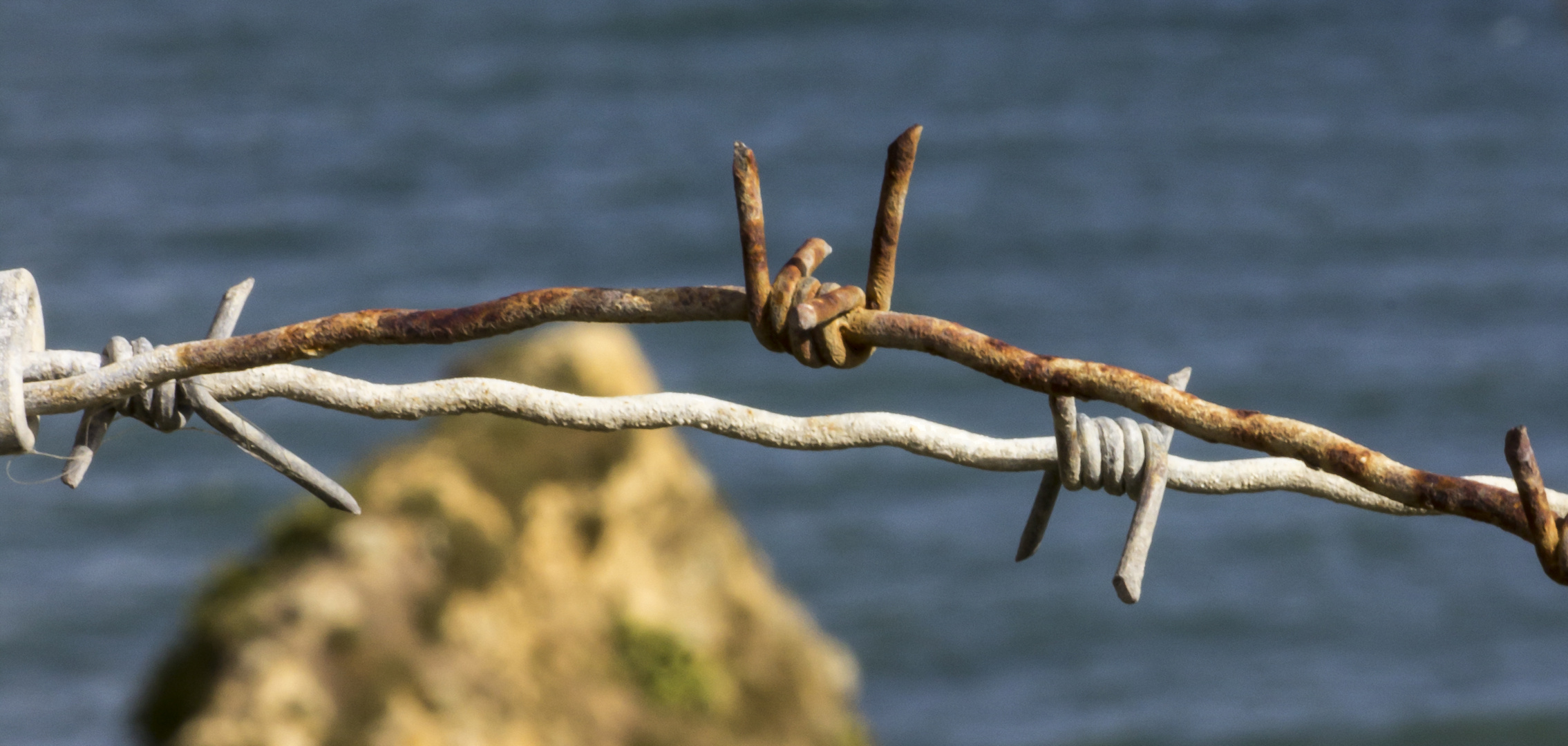 Les piquants de la Pointe du Hoc