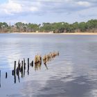 les piquets dans l'eau !