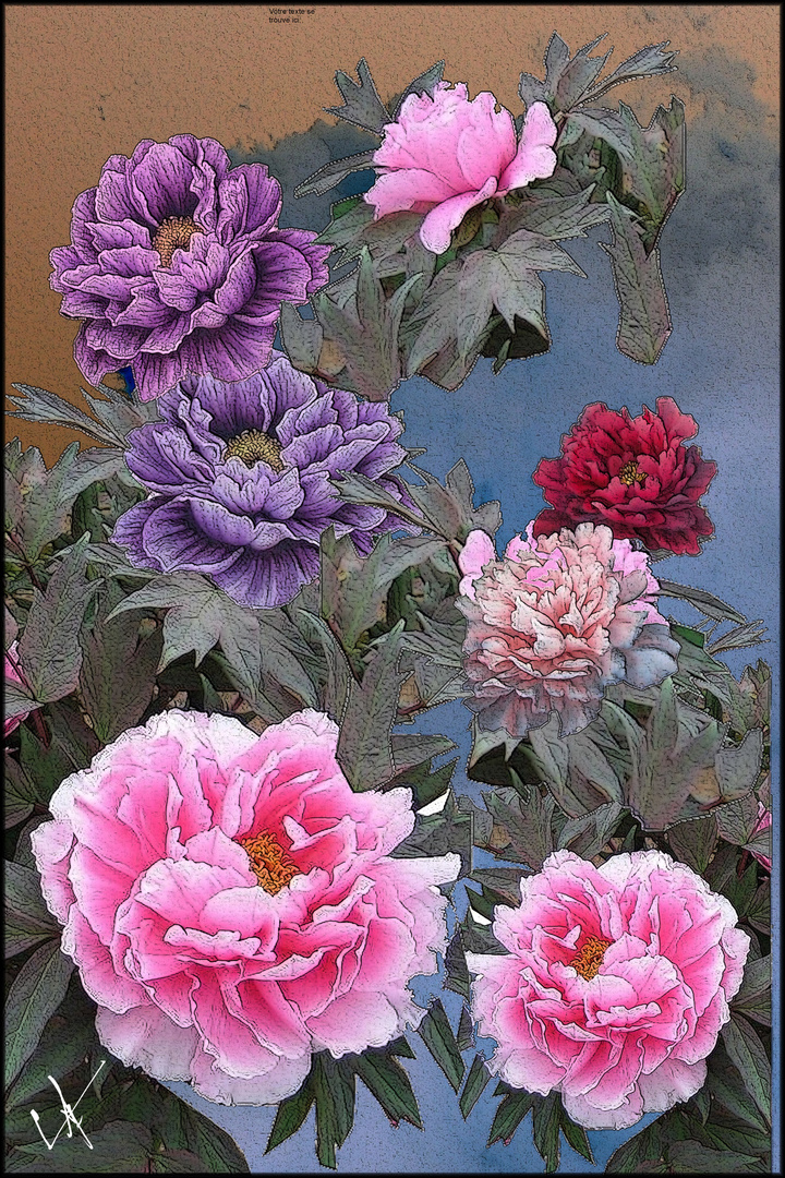 LES PIVOINES