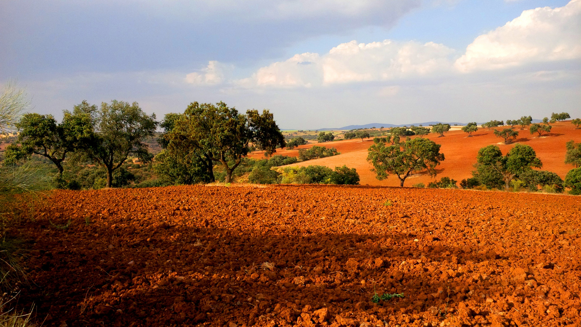 Les PLAINES de l'ANDALOUSIE...