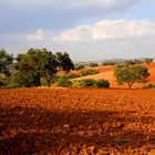 Les PLAINES de l'ANDALOUSIE...