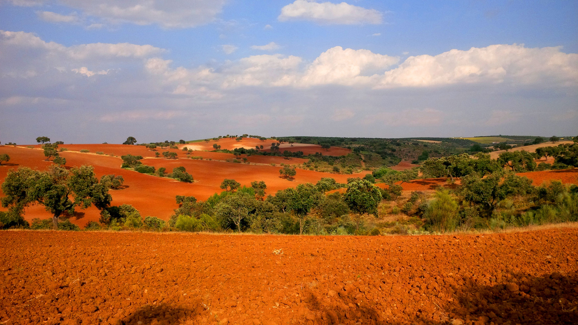 Les PLAINES de l'ANDALOUSIE...