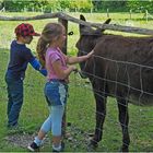 Les plaisirs de la campagne