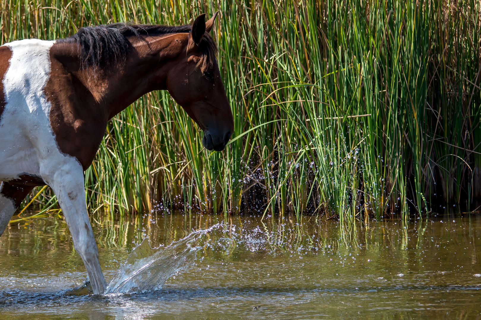 les plaisirs de l'eau.