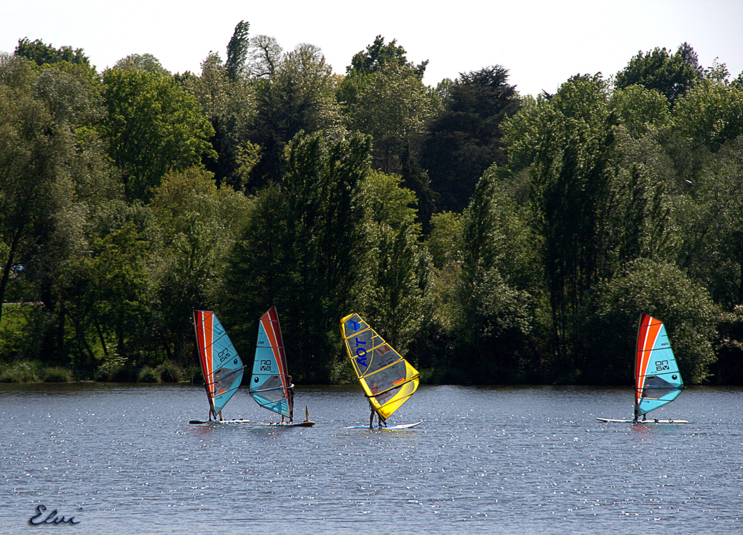 Les planches à voile