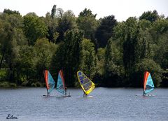 Les planches à voile