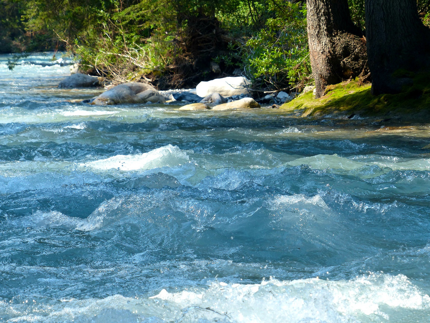 Les plus belles couleurs se trouvent dans la nature sauvage