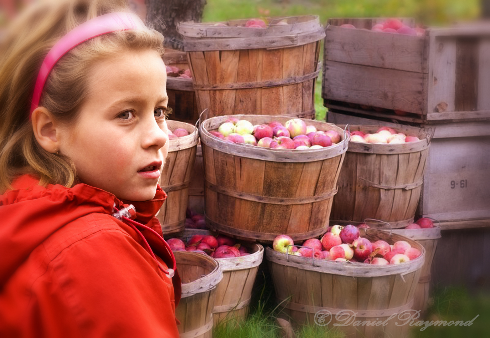 Les pommes