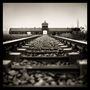 Auchwitz