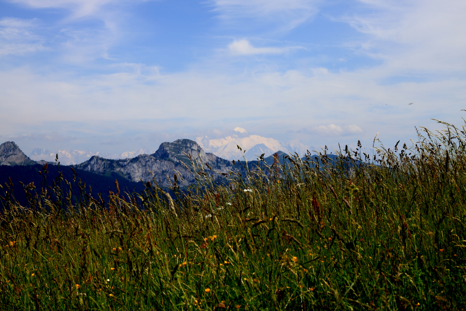 Les prairies de mon enfance