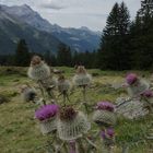 Les Préalpes Vaudoises