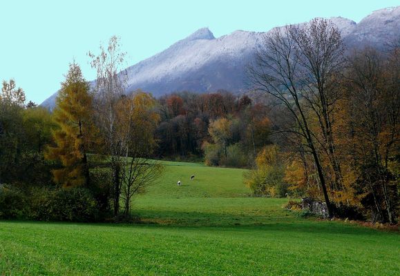 Les prés verts du jeudi