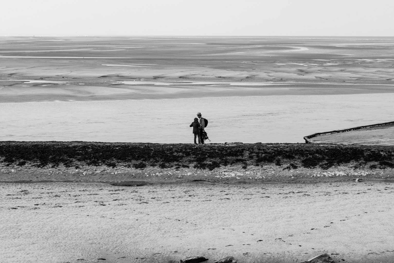 Les promeneurs de la Baie d'Authie