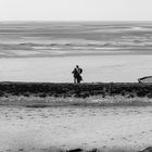 Les promeneurs de la Baie d'Authie