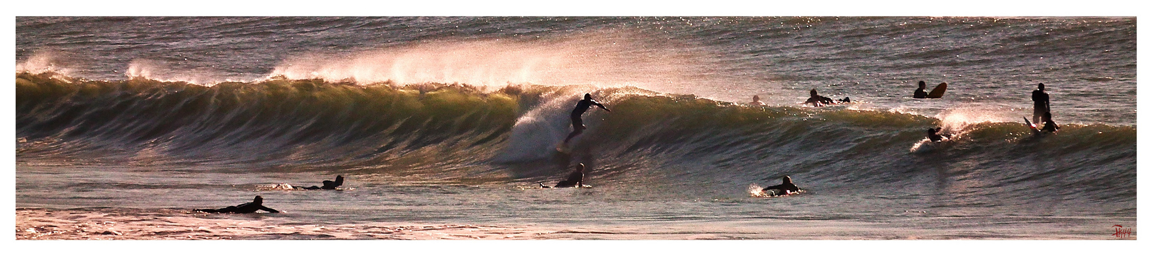 les pros des vagues