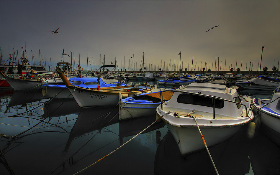 Les Pt'its bateaux