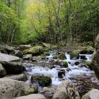 Les Pyrénées orientales 