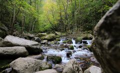 Les Pyrénées orientales 