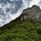 Les Pyrénées Sauvages