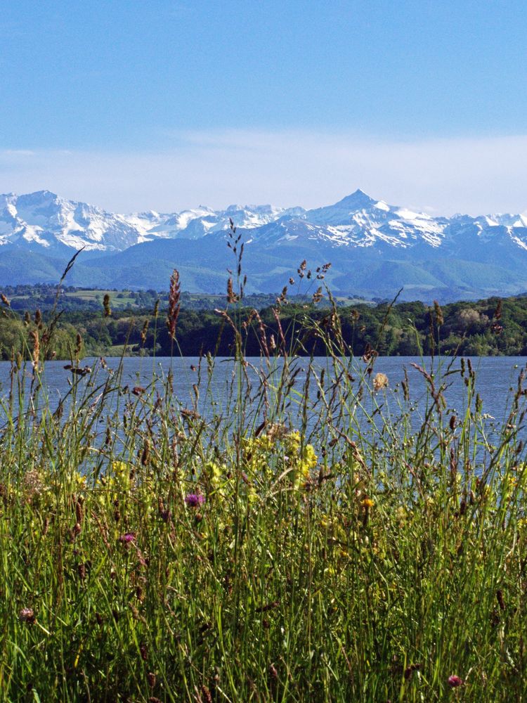 Les Pyrénées vues du lac de L’Arrêt-Darré