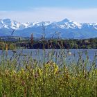 Les Pyrénées vues du lac de L’Arrêt-Darré
