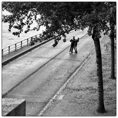 Les quais de la Seine