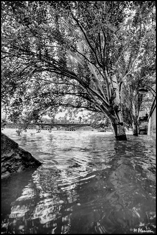 Les quais de Seine