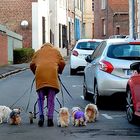 Les quintuplés d'Arras 