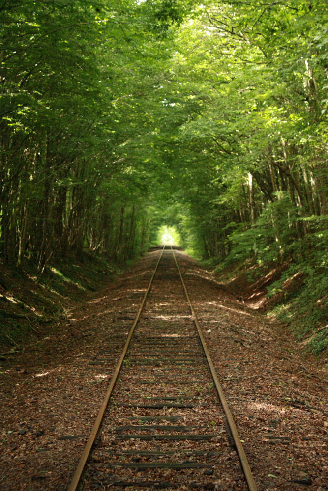 Les rails du paradis