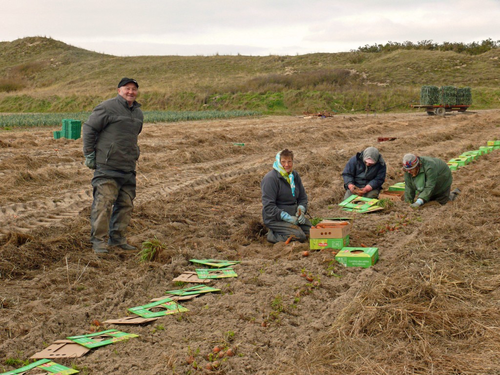 Les ramasseuses de carottes